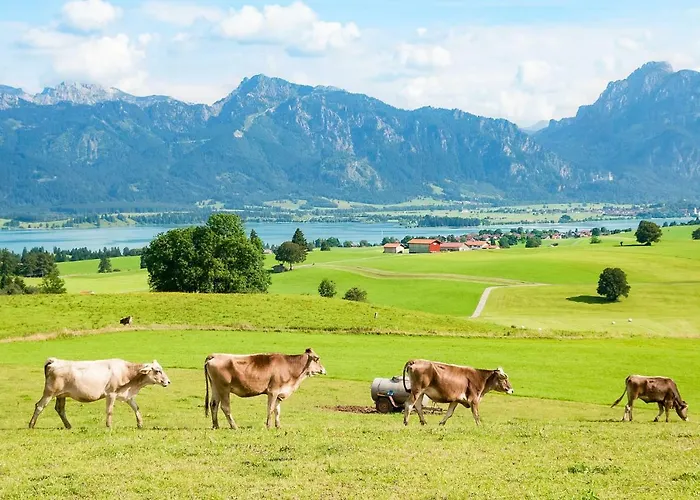 Gaestehaus Isler